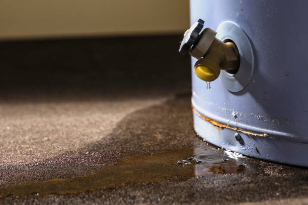 Best Water damage restoration services  in Kings Bay Base, GA