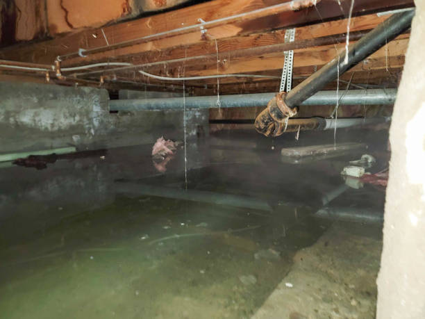  Kings Bay Base, GA Water damage restoration Pros