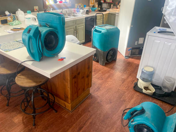 Best Carpet water damage restoration  in Kings Bay Base, GA