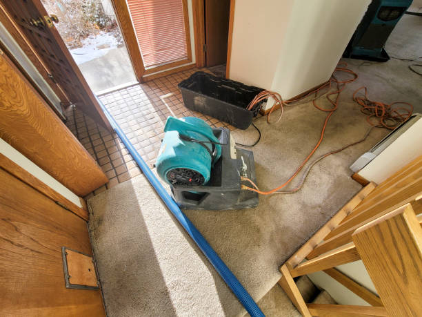Best 24-hour water damage restoration  in Kings Bay Base, GA