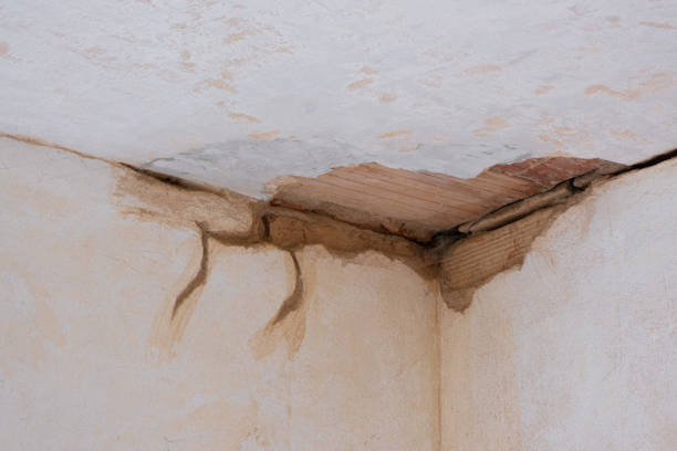 Best Water damage restoration near me  in Kings Bay Base, GA
