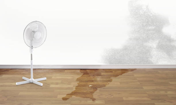 Best 24-hour water damage restoration  in Kings Bay Base, GA
