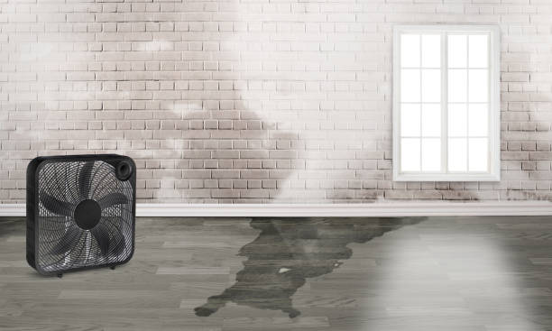 Best 24/7 water damage repair  in Kings Bay Base, GA