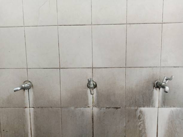 Best Local water damage restoration  in Kings Bay Base, GA