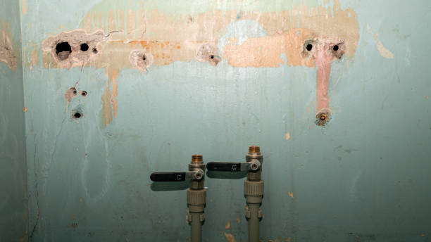 Best Flood restoration services  in Kings Bay Base, GA
