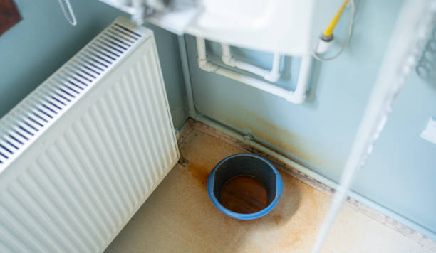 Best Basement water damage restoration  in Kings Bay Base, GA