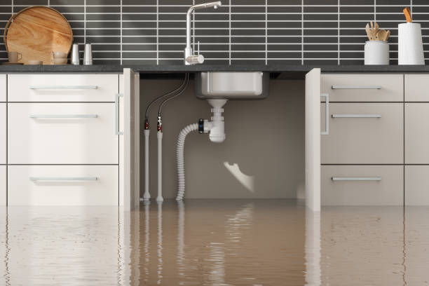 Best Water damage restoration near me  in Kings Bay Base, GA