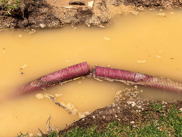 Best Water damage contractors near me  in Kings Bay Base, GA