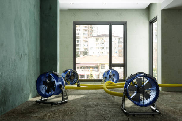 Best Sewage cleanup and water damage restoration  in Kings Bay Base, GA